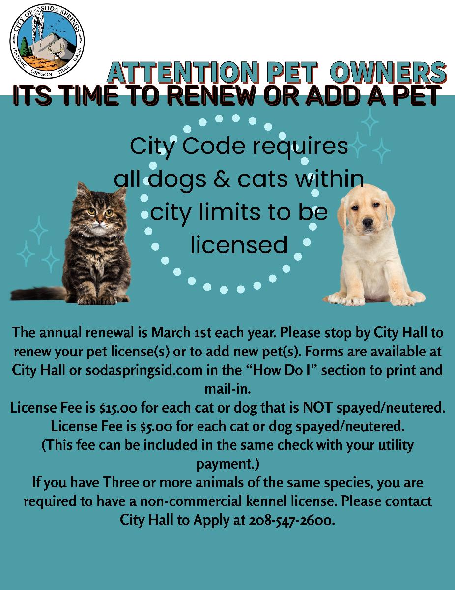 Animal license renewal flyer
